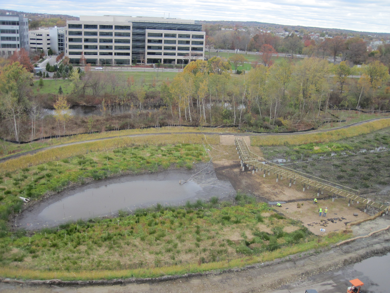 Framing of boardwalk across main wetland basin, Novemebr 2 2012